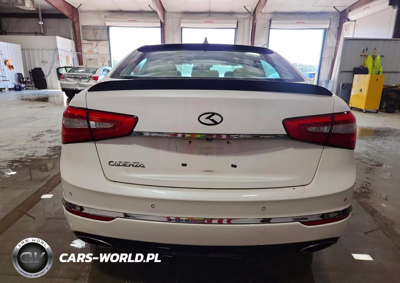 2015 Kia Cadenza Premium VIN:KNALN4D78F5197439 - 6
