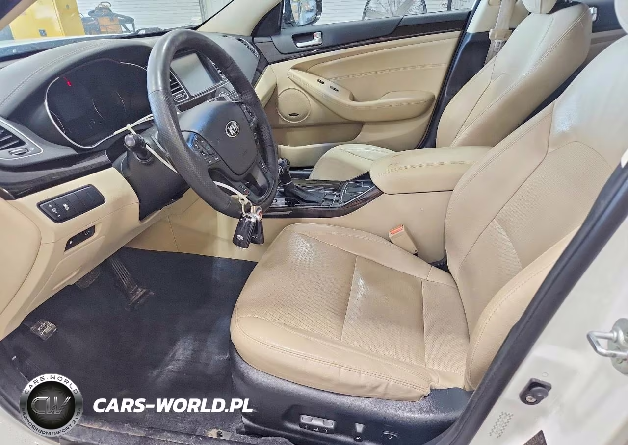 2015 Kia Cadenza Premium VIN:KNALN4D78F5197439 - 7