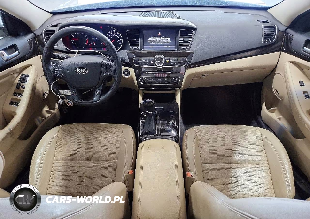 2015 Kia Cadenza Premium VIN:KNALN4D78F5197439 - 8