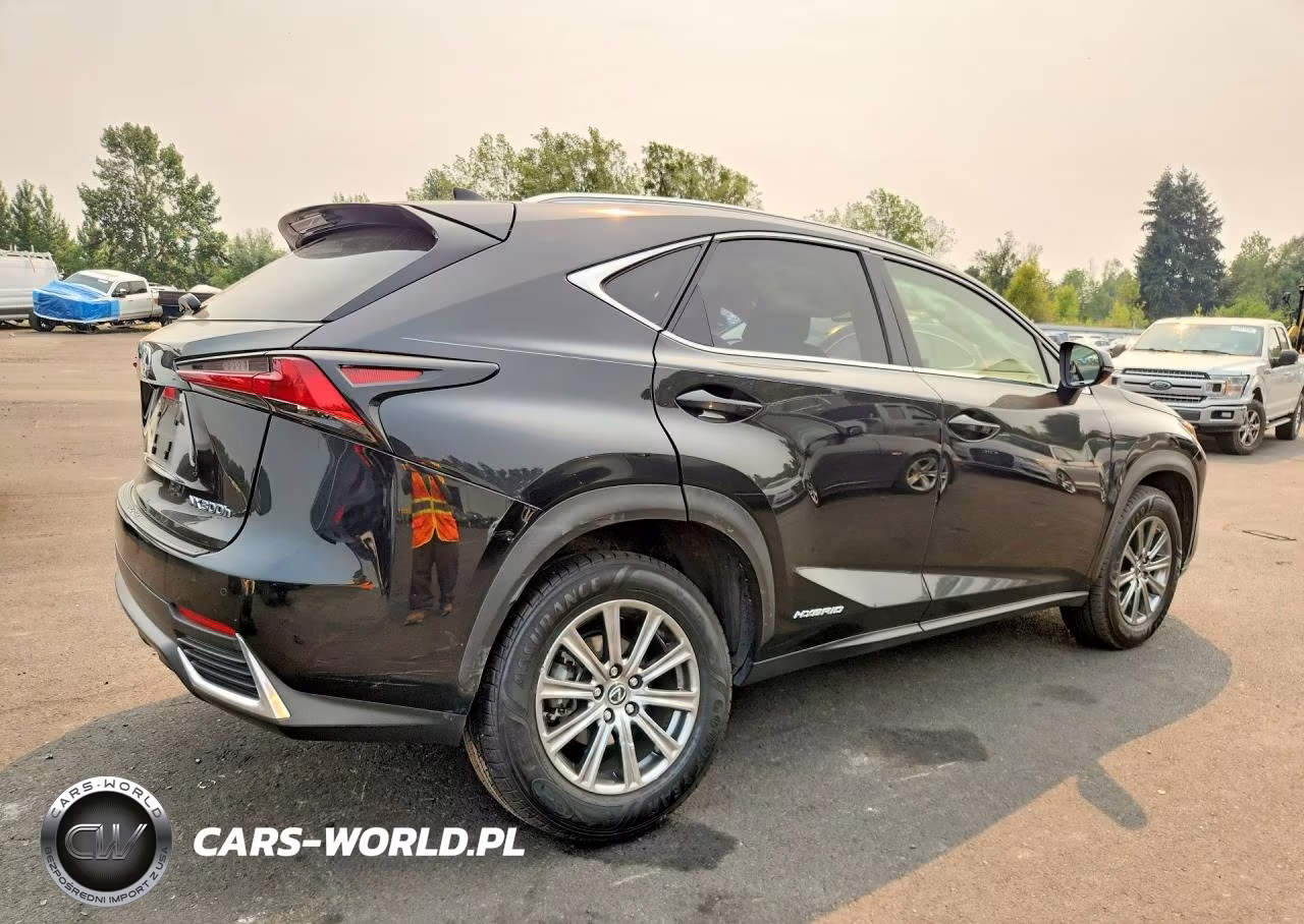 2019 Lexus Nx 300H VIN:JTJBJRBZ0K2100223 - 3