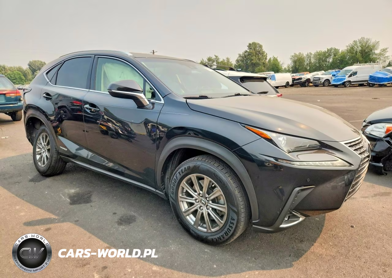2019 Lexus Nx 300H VIN:JTJBJRBZ0K2100223 - 4
