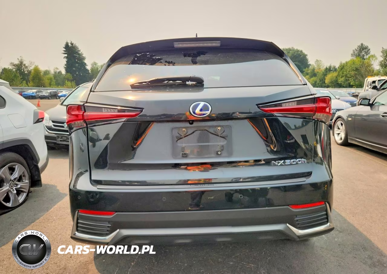2019 Lexus Nx 300H VIN:JTJBJRBZ0K2100223 - 6
