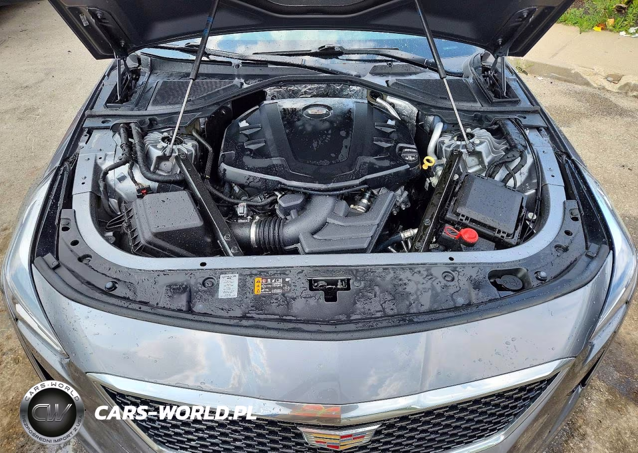 2019 Cadillac Ct6 Luxury VIN:1G6KB5RSXKU126823 - 11