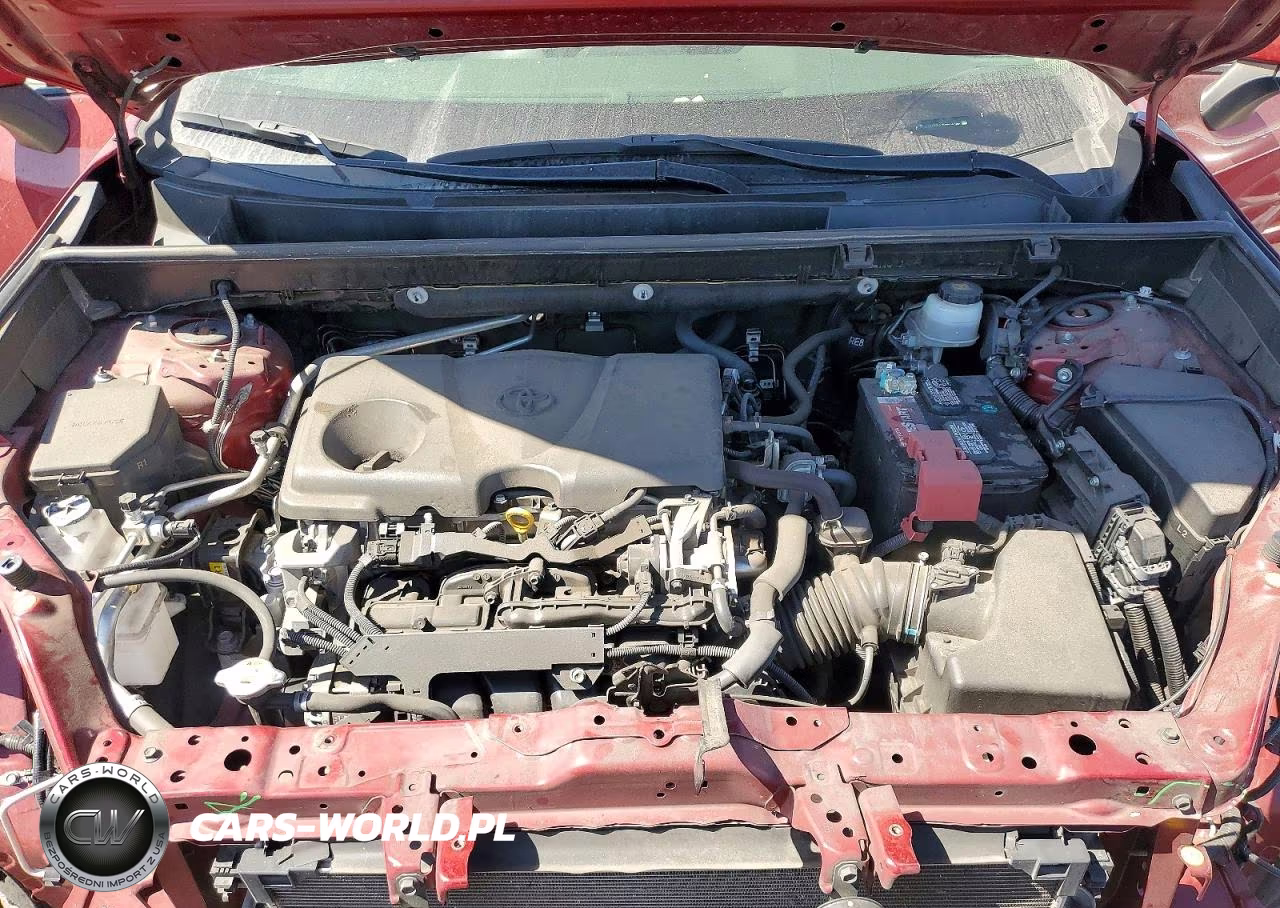 2019 Toyota Rav4 Xle Premium VIN:JTMA1RFV4KD512932 - 12