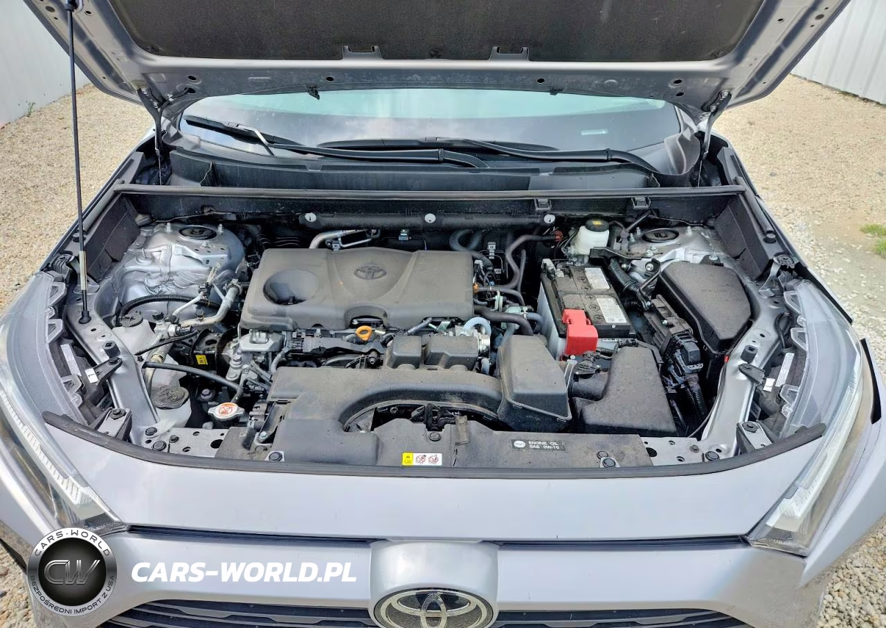 2025 Toyota Rav4 Xle VIN:2T3W1RFV7SC334699 - 12