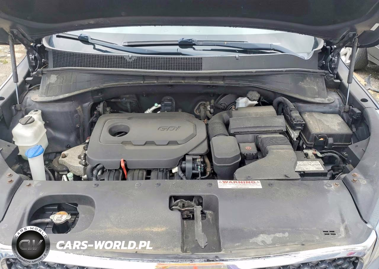 2016 Kia Sorento Lx VIN:5XYPGDA30GG029657 - 12