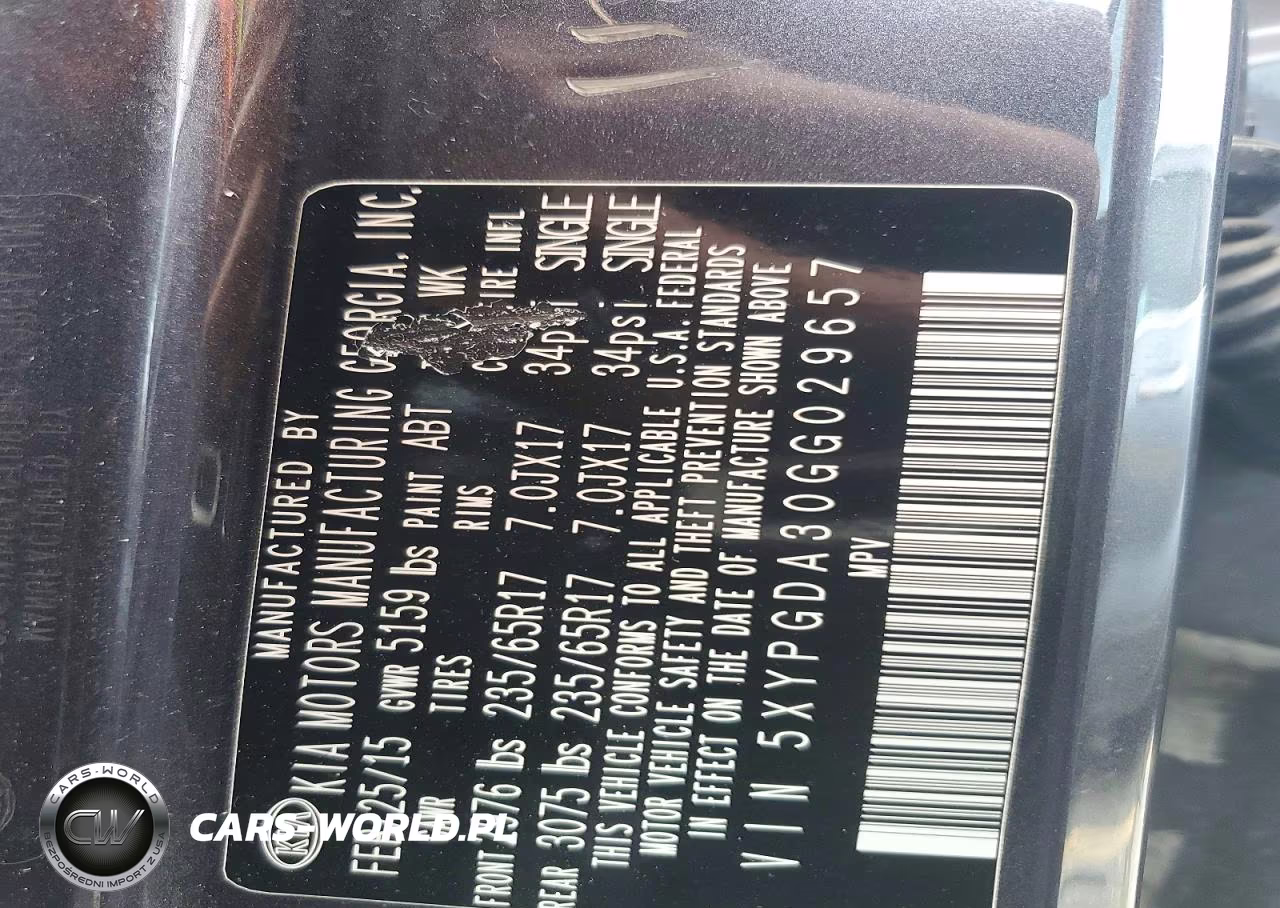 2016 Kia Sorento Lx VIN:5XYPGDA30GG029657 - 13