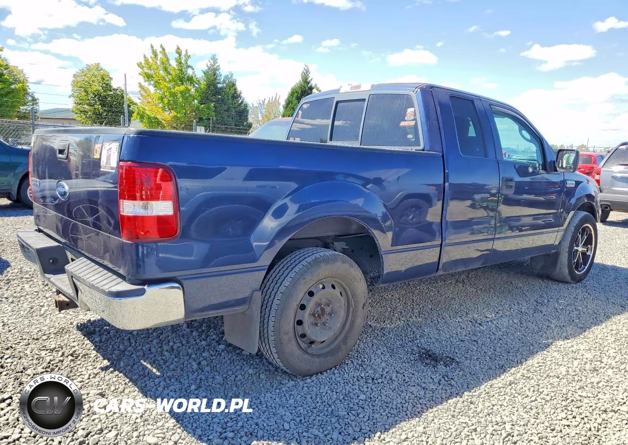 2005 Ford F150 VIN:1FTPX12505NA24446 - 3