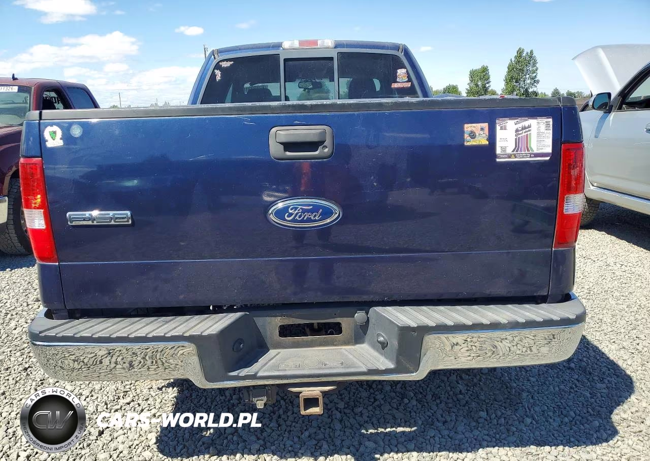 2005 Ford F150 VIN:1FTPX12505NA24446 - 6