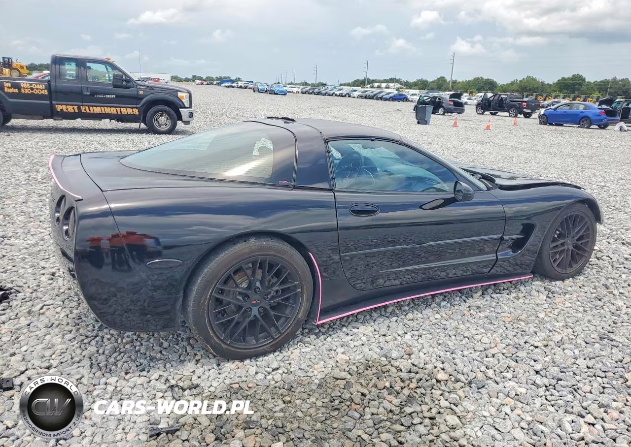 1999 Chevrolet Corvette VIN:1G1YY22G2X5101872 - 3