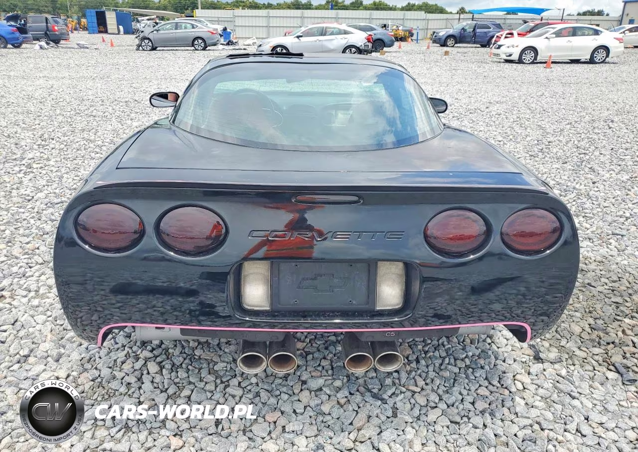 1999 Chevrolet Corvette VIN:1G1YY22G2X5101872 - 6
