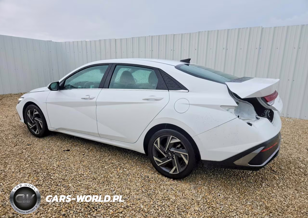 2025 Hyundai Elantra Sel VIN:KMHLS4DG5SU019950 - 2