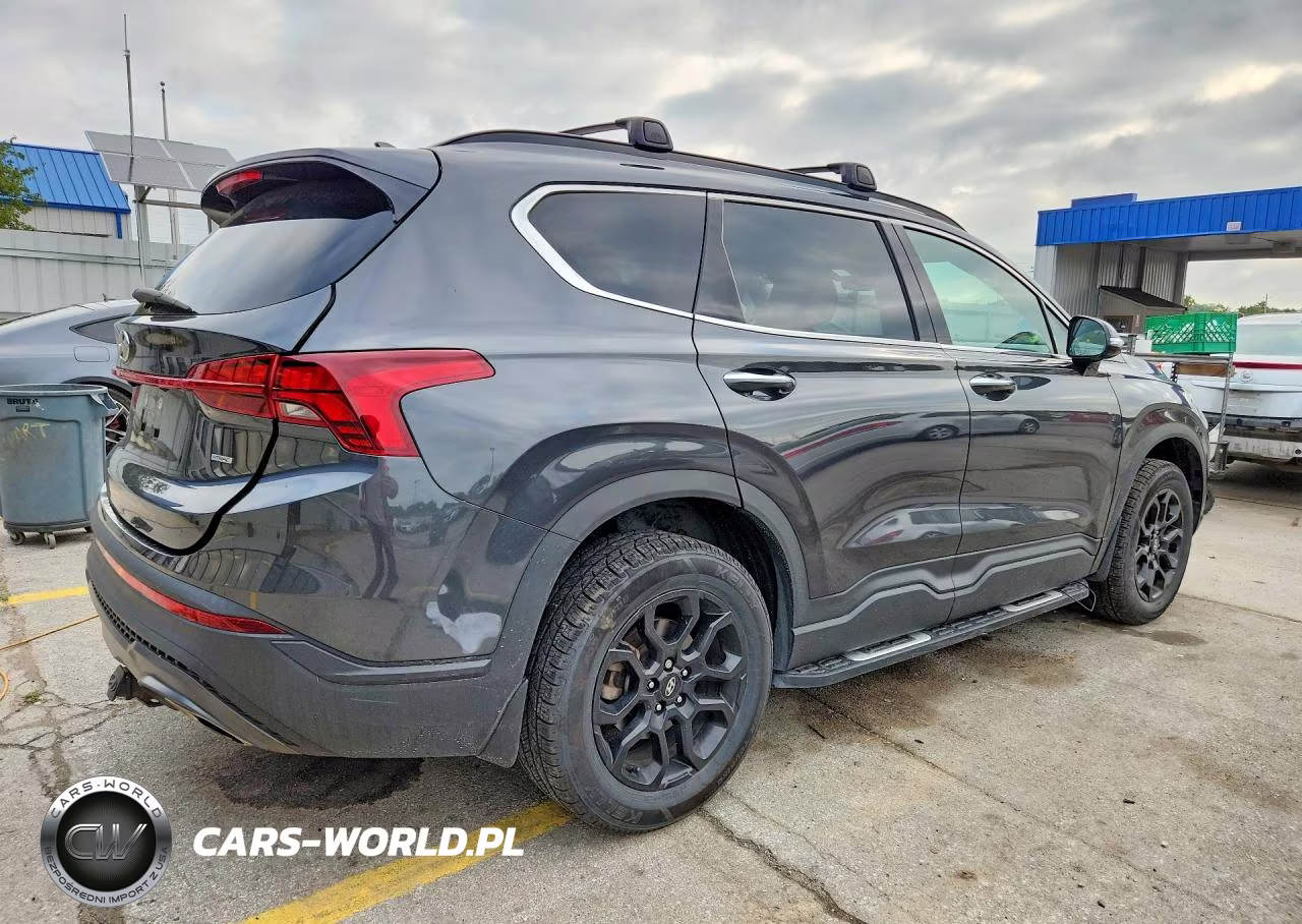 2022 Hyundai Santa Fe Xrt VIN:5NMS6DAJ4NH399198 - 3