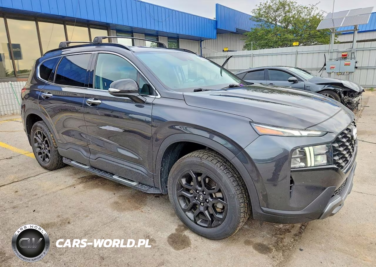 2022 Hyundai Santa Fe Xrt VIN:5NMS6DAJ4NH399198 - 4