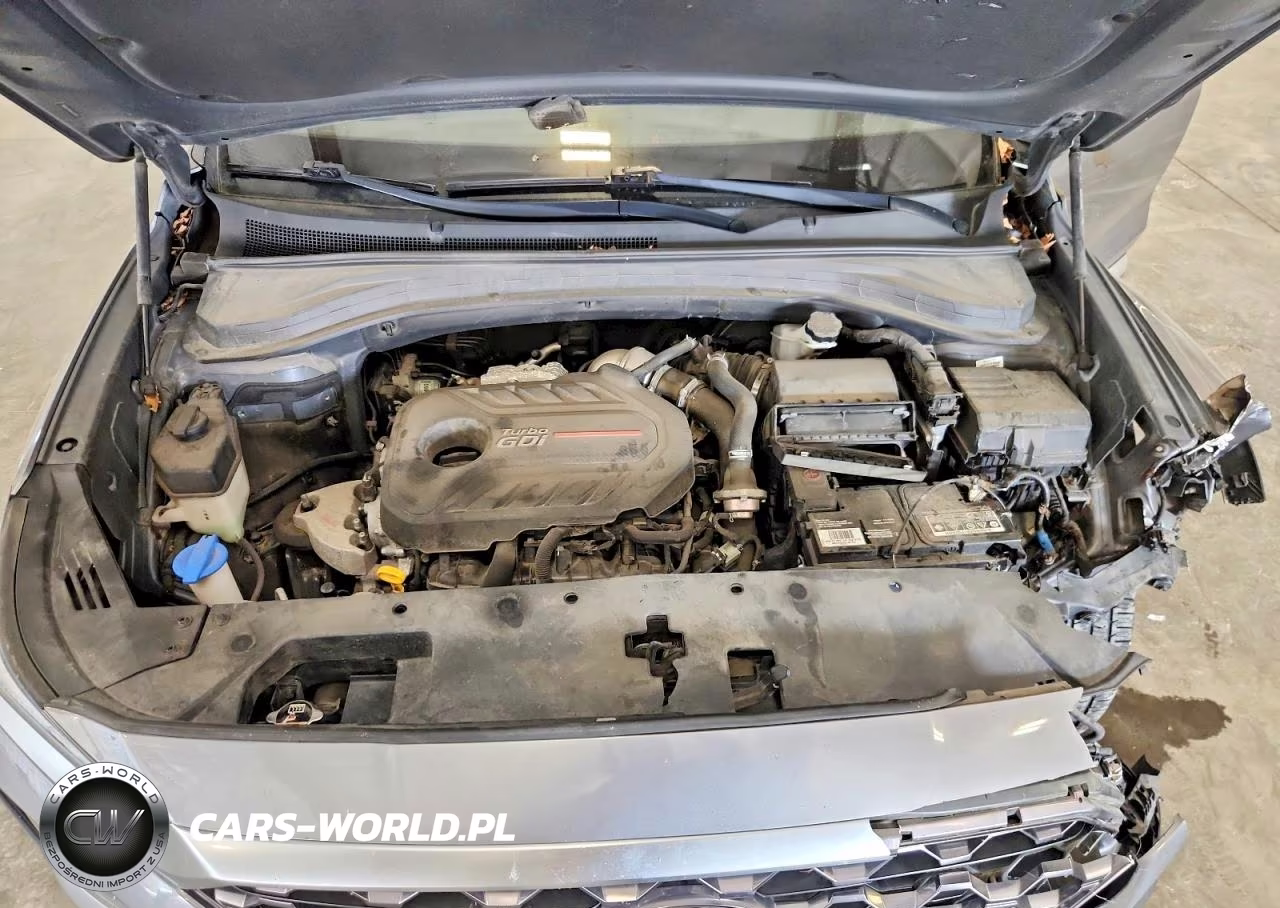 2019 Hyundai Santa Fe Limited 2.0T VIN:5NMS5CAA7KH107570 - 12