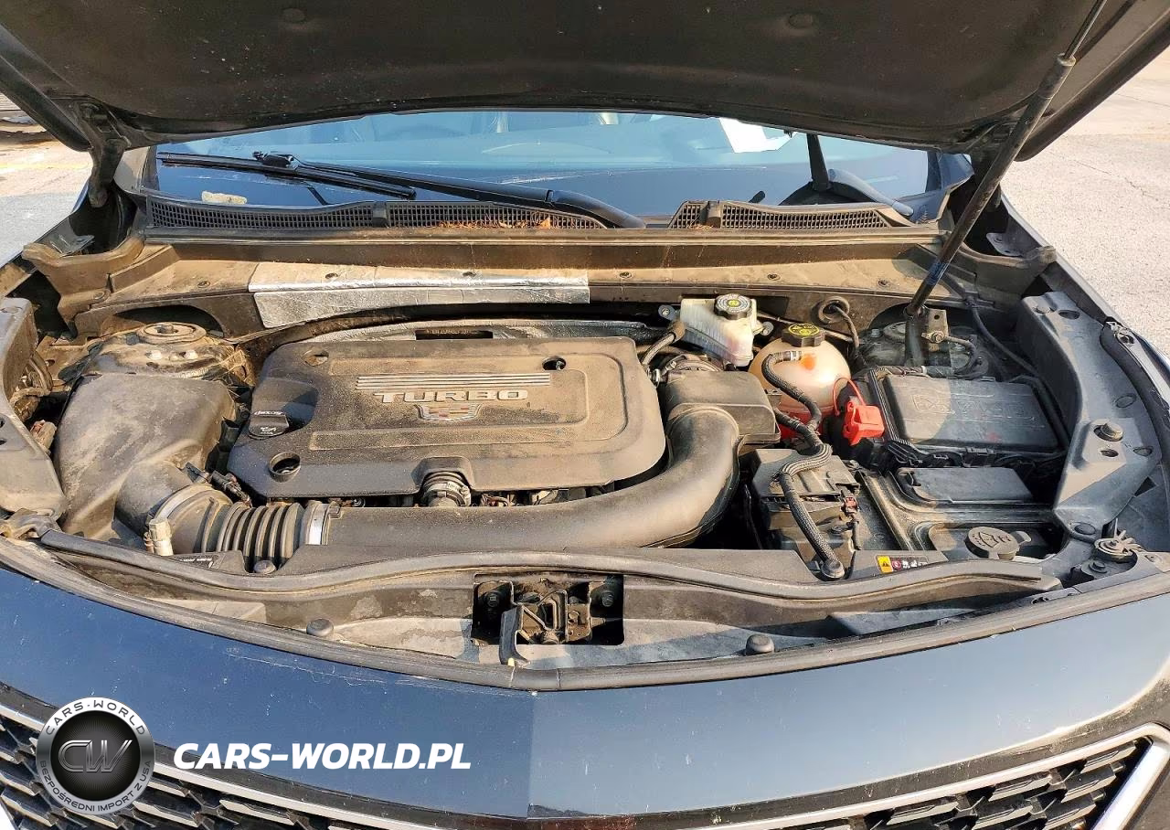 2020 Cadillac Xt4 Premium Luxury VIN:1GYFZCR48LF104433 - 12