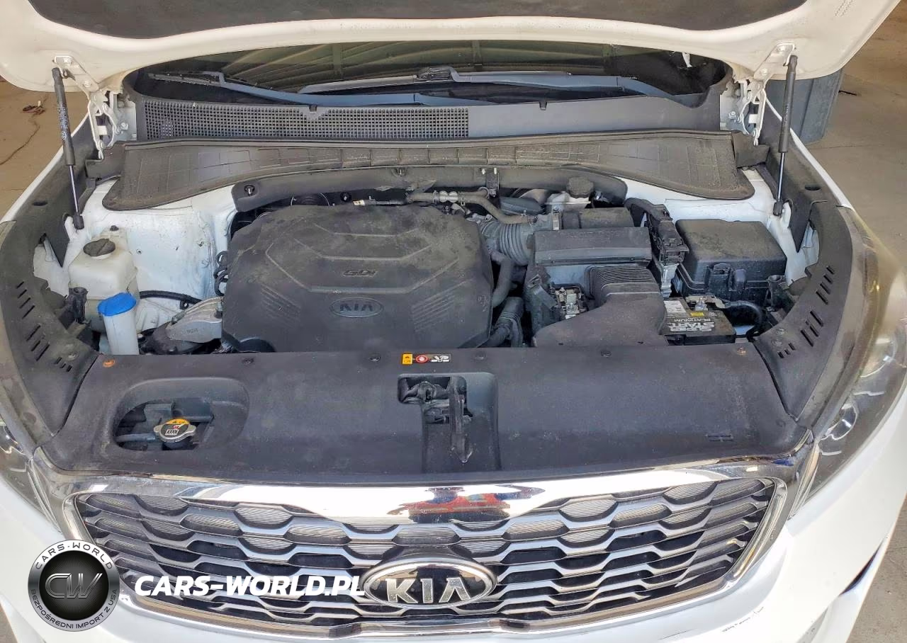 2019 Kia Sorento Ex Sport VIN:5XYPHDA52KG601464 - 12