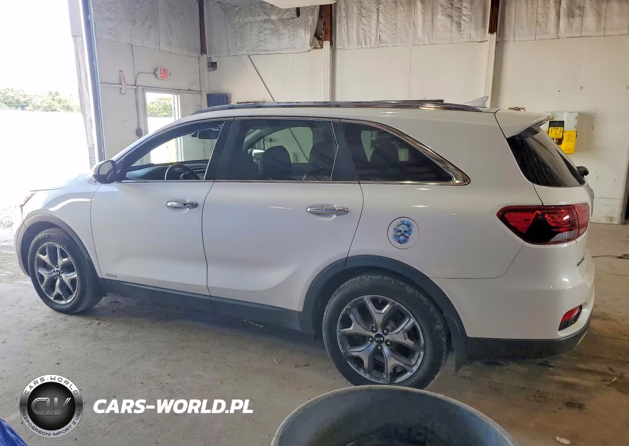 2019 Kia Sorento Ex Sport VIN:5XYPHDA52KG601464 - 2