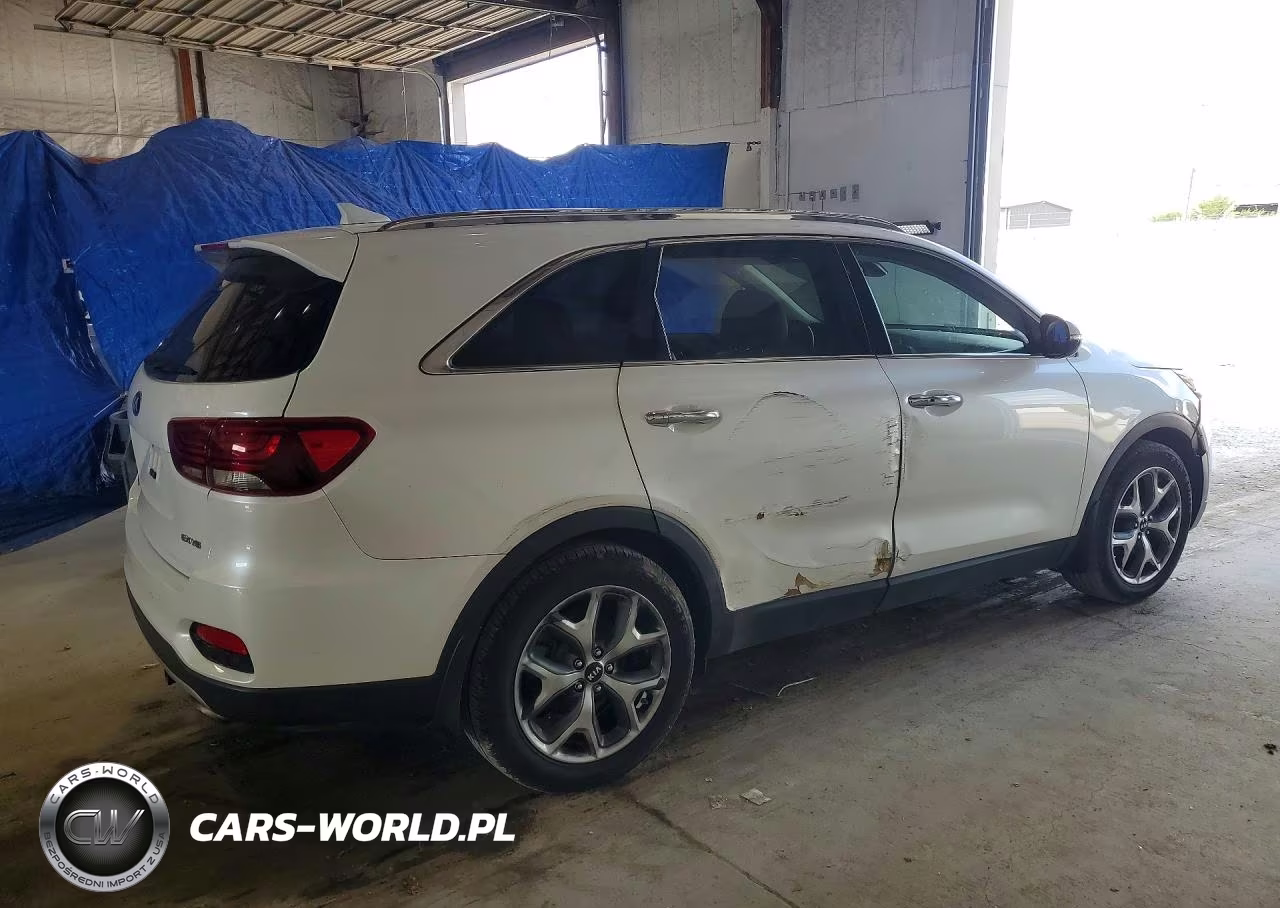 2019 Kia Sorento Ex Sport VIN:5XYPHDA52KG601464 - 3