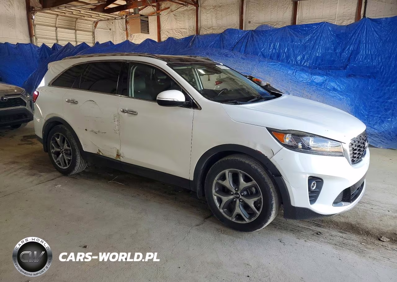 2019 Kia Sorento Ex Sport VIN:5XYPHDA52KG601464 - 4