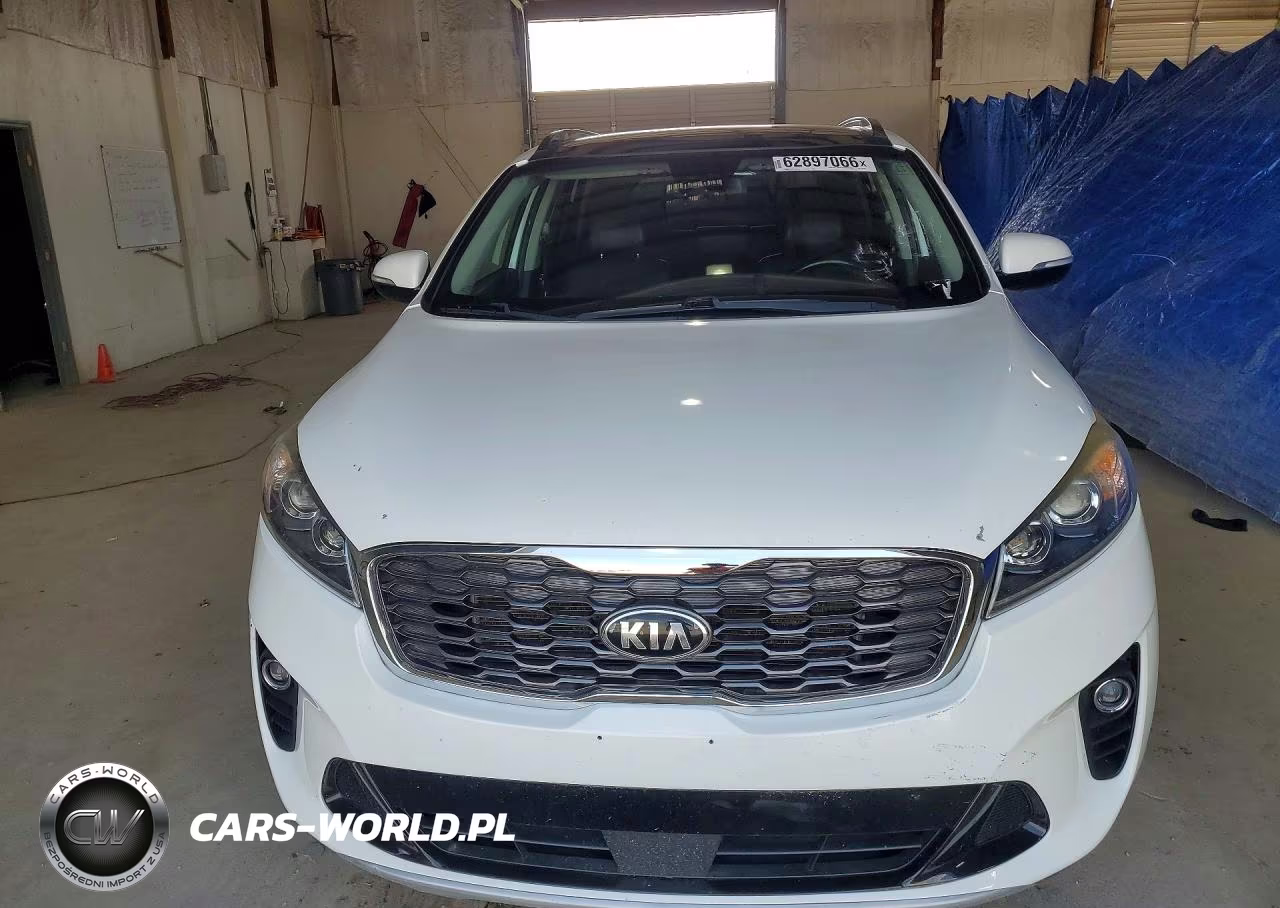 2019 Kia Sorento Ex Sport VIN:5XYPHDA52KG601464 - 5