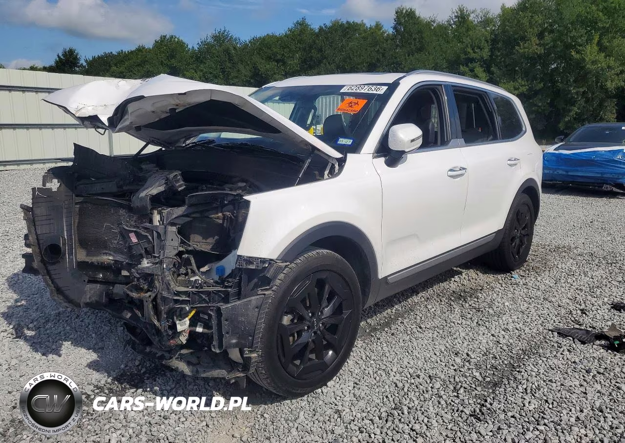 2023 Kia Telluride S VIN:5XYP64GC2PG367460 - 1