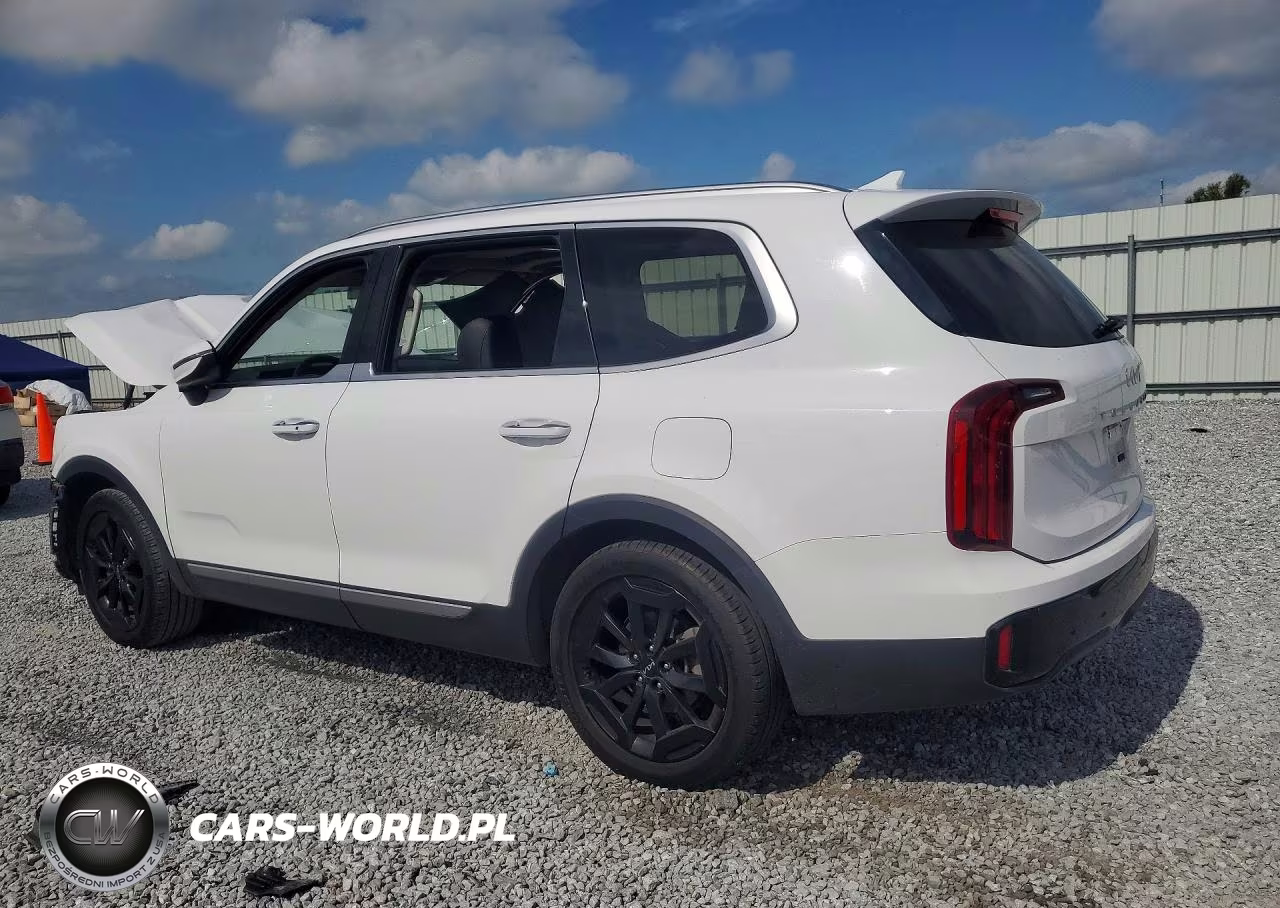 2023 Kia Telluride S VIN:5XYP64GC2PG367460 - 2