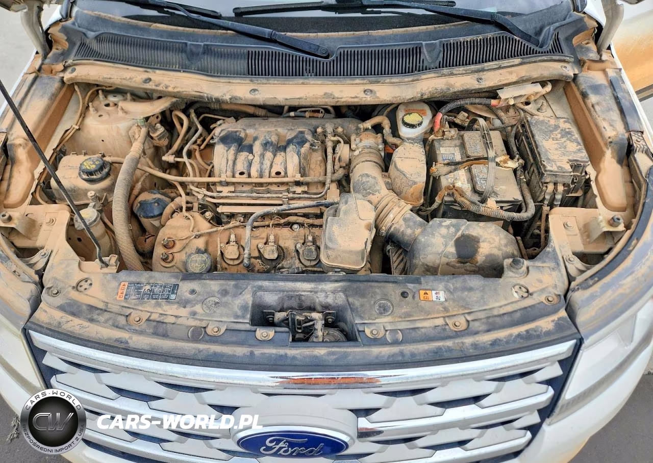 2019 Ford Explorer Xlt VIN:1FM5K8D82KGB29197 - 11