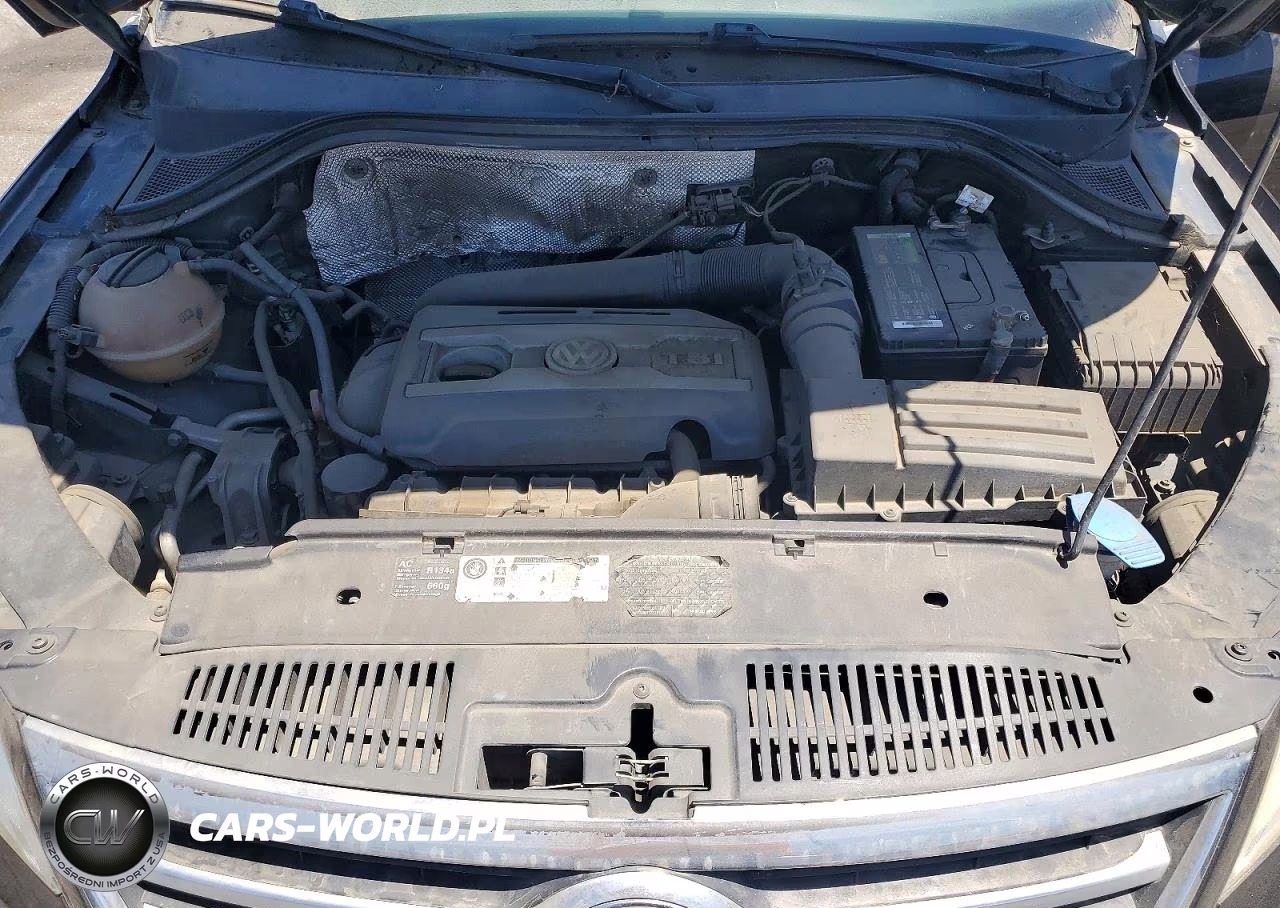 2010 Volkswagen Tiguan S VIN:WVGAV7AX1AW525167 - 12