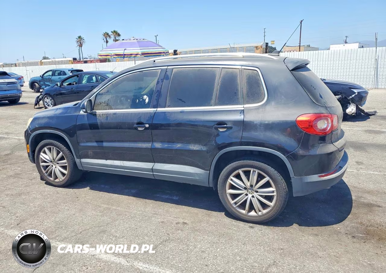 2010 Volkswagen Tiguan S VIN:WVGAV7AX1AW525167 - 2
