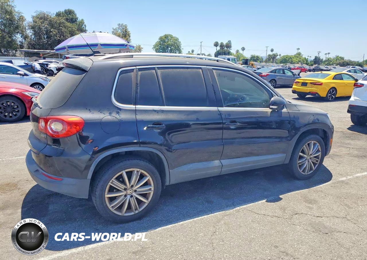 2010 Volkswagen Tiguan S VIN:WVGAV7AX1AW525167 - 3