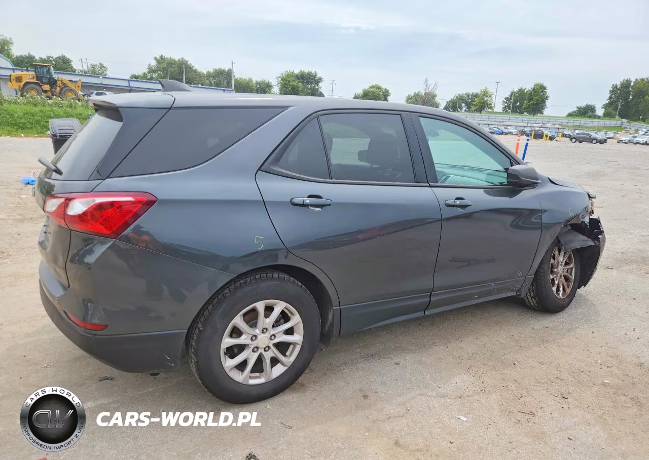 2019 Chevrolet Equinox Ls VIN:3GNAXHEV8KS599123 - 3