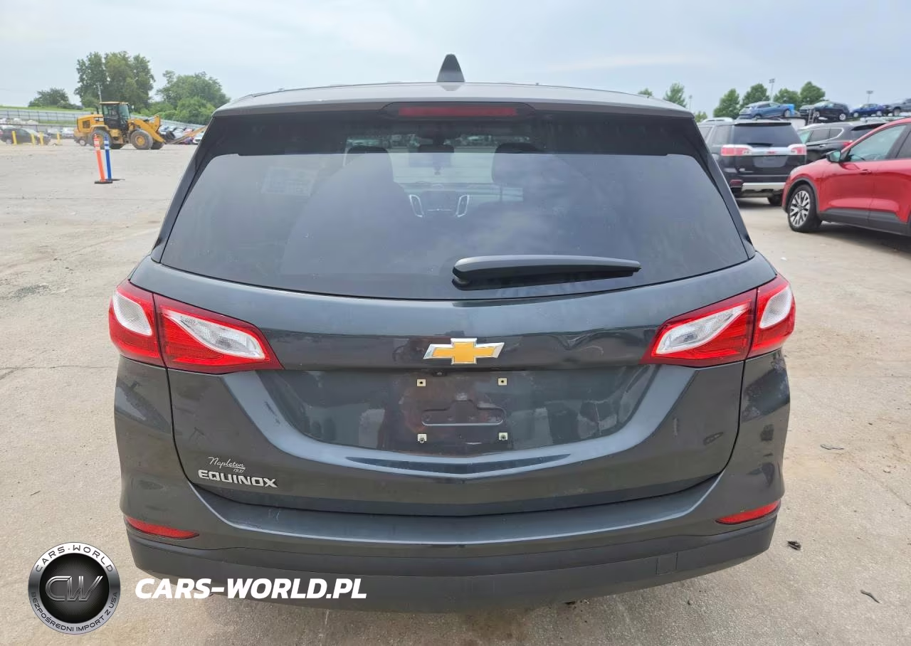2019 Chevrolet Equinox Ls VIN:3GNAXHEV8KS599123 - 6