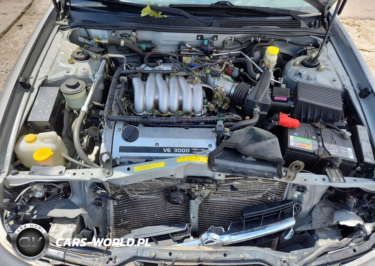 1999 Nissan Maxima Gxe VIN:JN1CA21D9XT821780 - 11