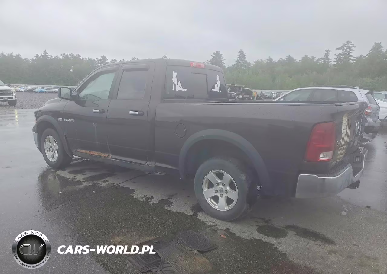 2010 Dodge Ram 1500 VIN:1D7RB1GT3AS214550 - 2