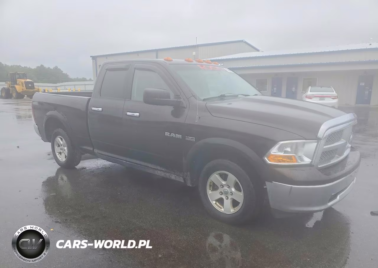 2010 Dodge Ram 1500 VIN:1D7RB1GT3AS214550 - 4
