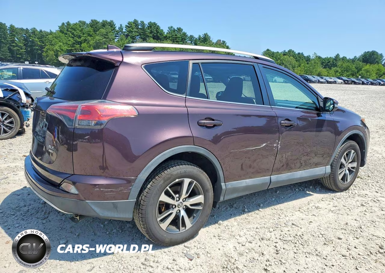 2016 Toyota Rav4 Xle VIN:2T3RFREV7GW461703 - 3