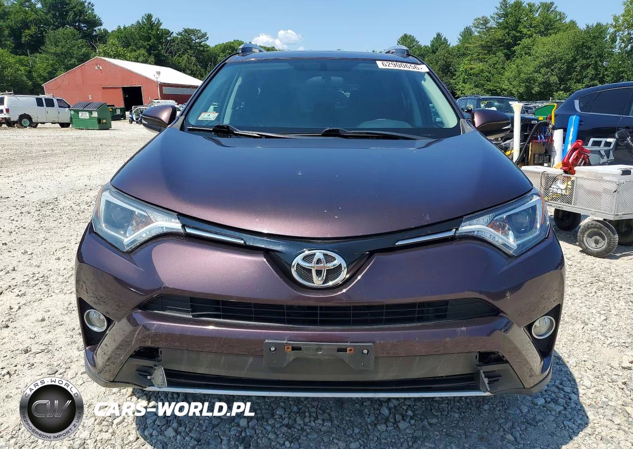 2016 Toyota Rav4 Xle VIN:2T3RFREV7GW461703 - 5