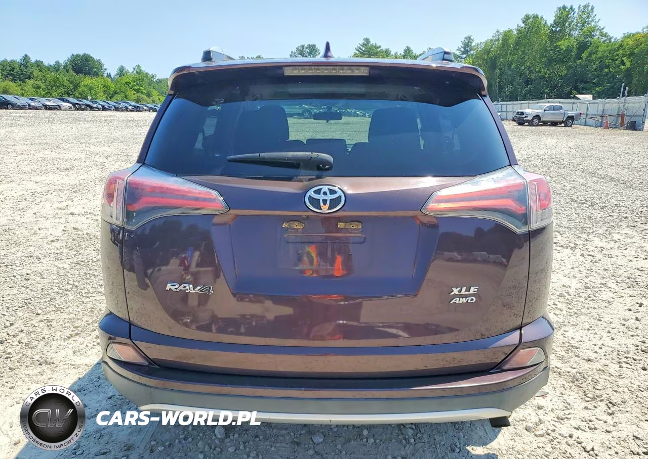 2016 Toyota Rav4 Xle VIN:2T3RFREV7GW461703 - 6