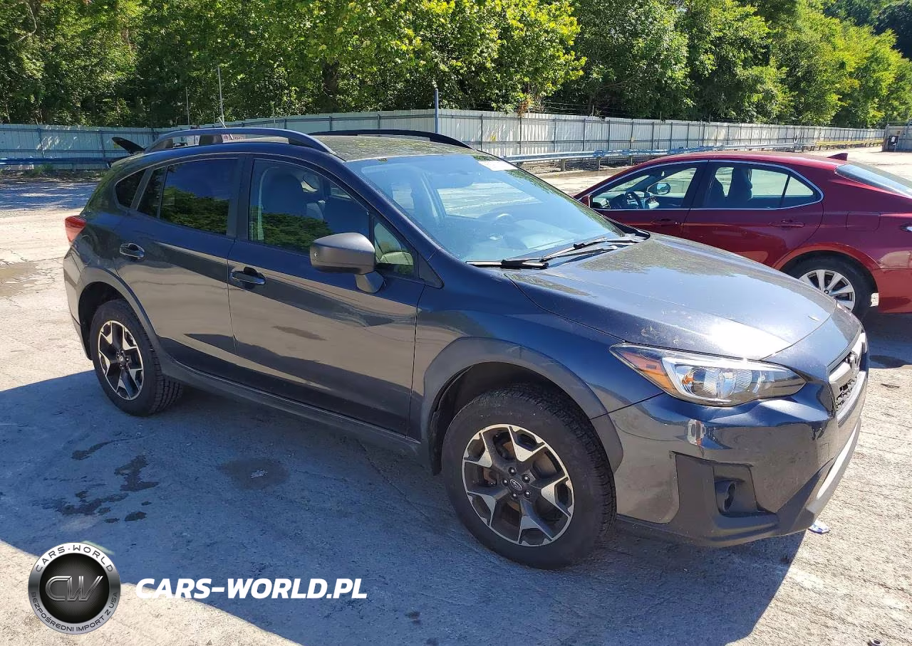 2019 Subaru Crosstrek 2.0I VIN:JF2GTAAC2K9234791 - 4