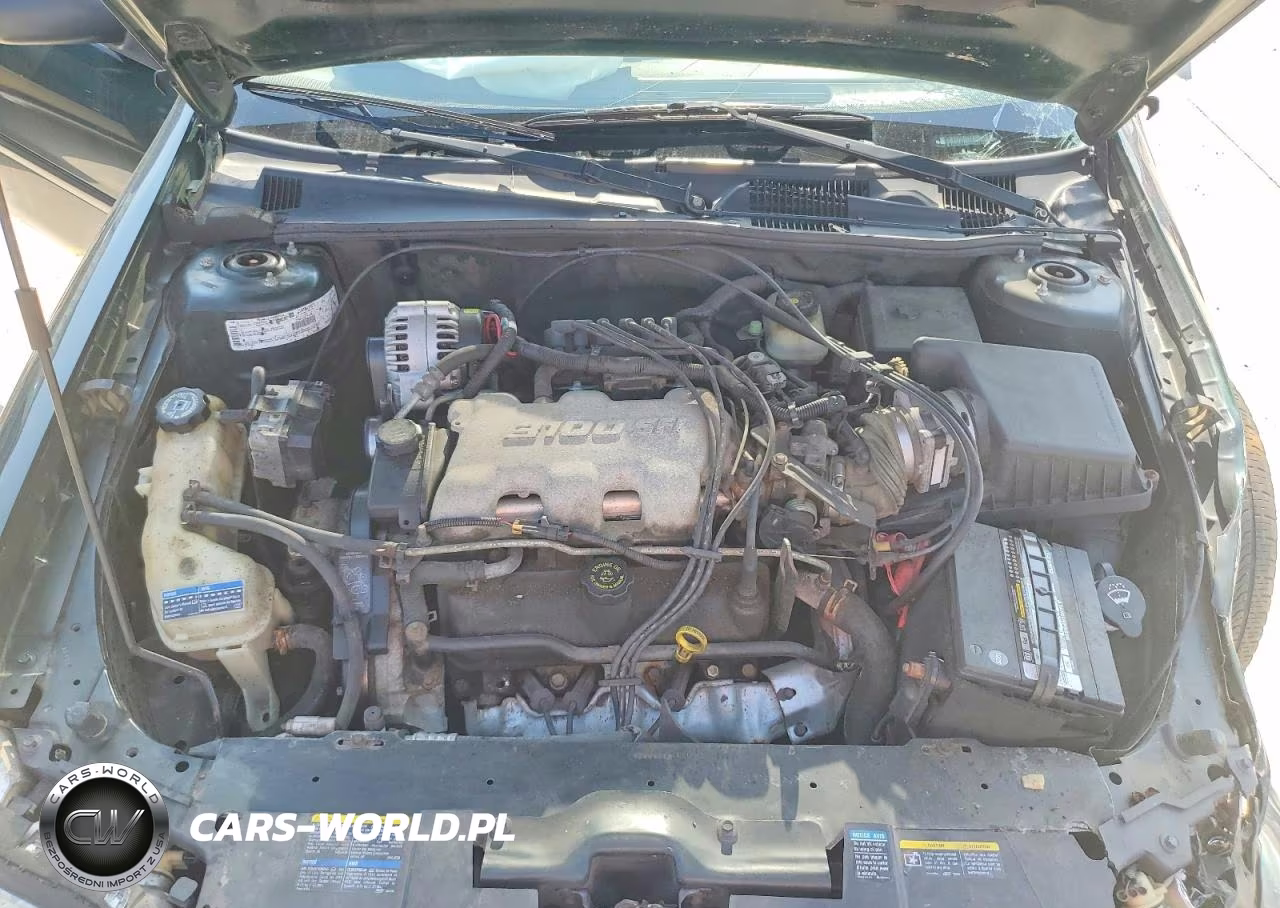 2002 Chevrolet Malibu VIN:1G1ND52J92M569849 - 11