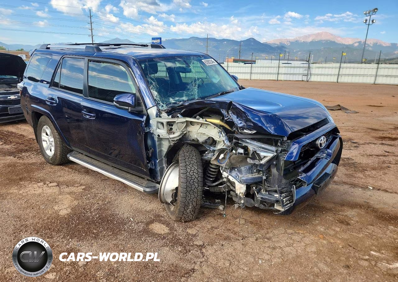 2019 Toyota 4Runner Sr5 Premium VIN:JTEBU5JR2K5689614 - 4