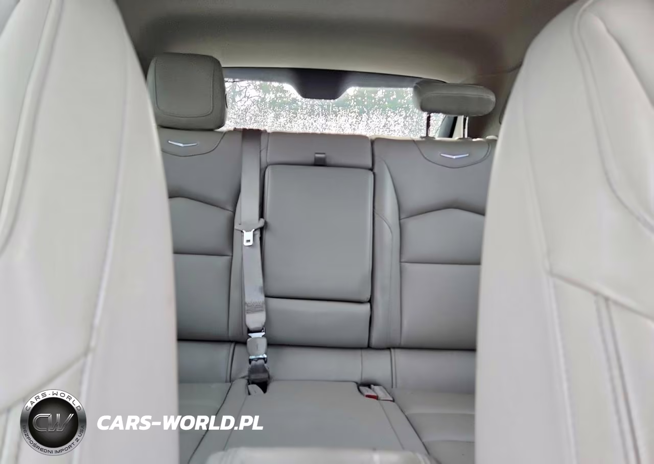 2019 Cadillac Xt4 Luxury VIN:1GYFZBR42KF101505 - 10