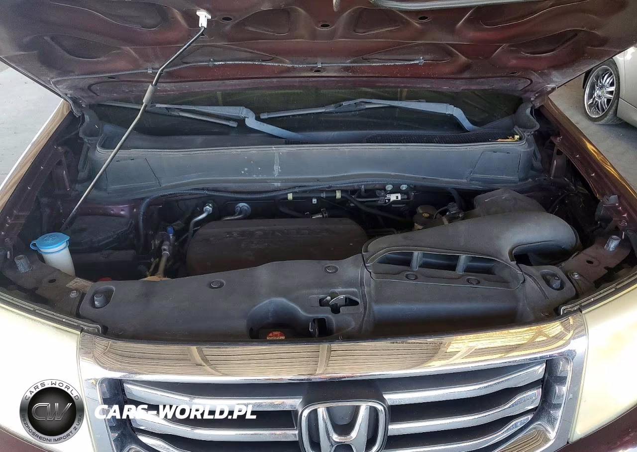 2014 Honda Pilot Exl VIN:5FNYF4H58EB020658 - 12