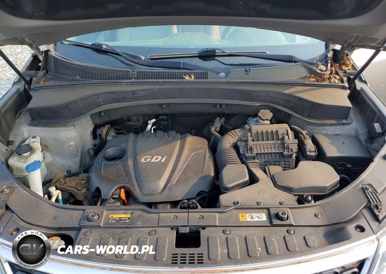 2014 Kia Sorento Lx VIN:5XYKTCA69EG450056 - 12