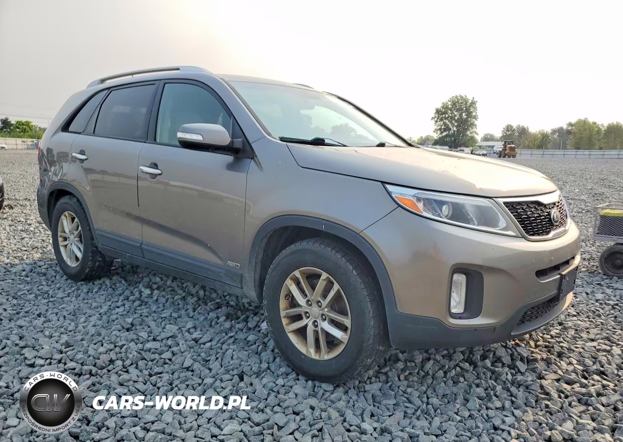 2014 Kia Sorento Lx VIN:5XYKTCA69EG450056 - 4