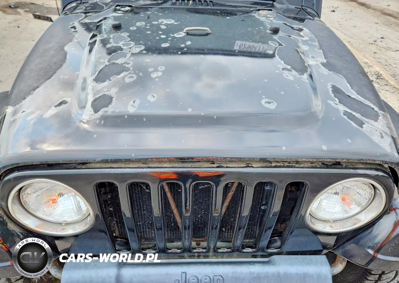 1998 Jeep Wrangler - Tj Se VIN:1J4FY29P1WP759300 - 12