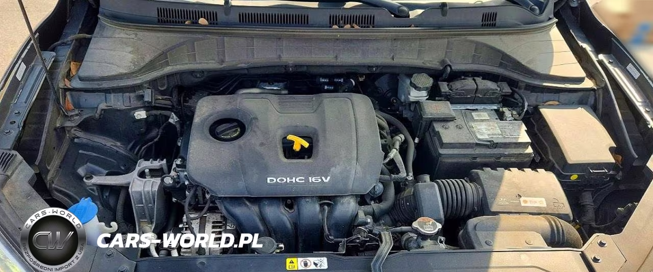 2019 Hyundai Kona Se VIN:KM8K12AA6KU265800 - 12