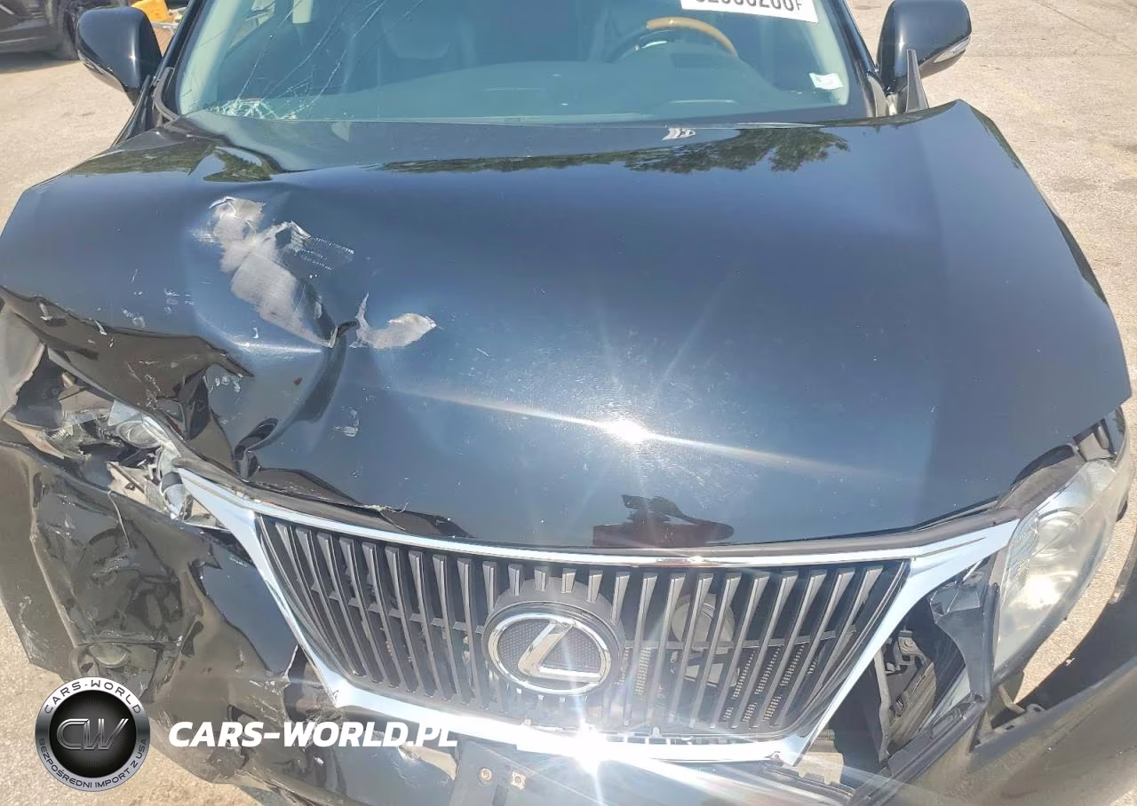 2010 Lexus Rx 350 VIN:2T2BK1BA9AC007014 - 11