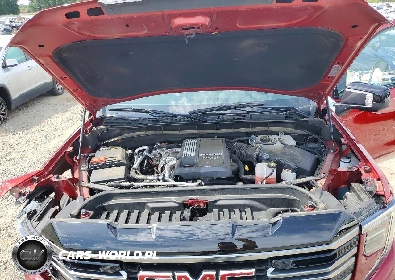 2025 GMC Sierra K1500 At4 VIN:3GTUUEE87SG288857 - 11